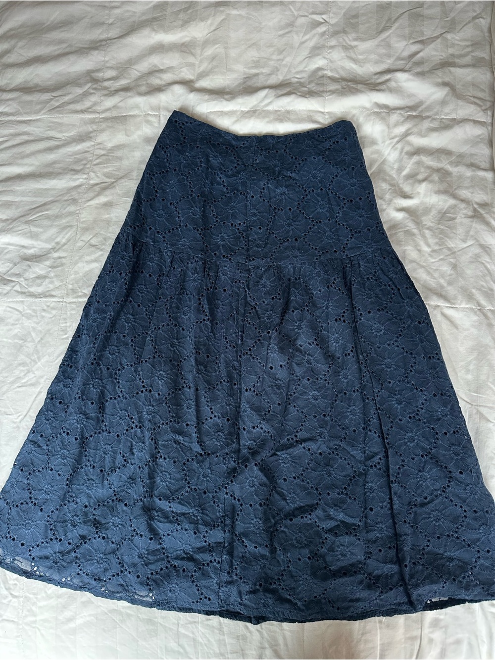 Pomelo Eyelet A-Line Midi Lace Embroidery Floral Skirt in Navy Blue